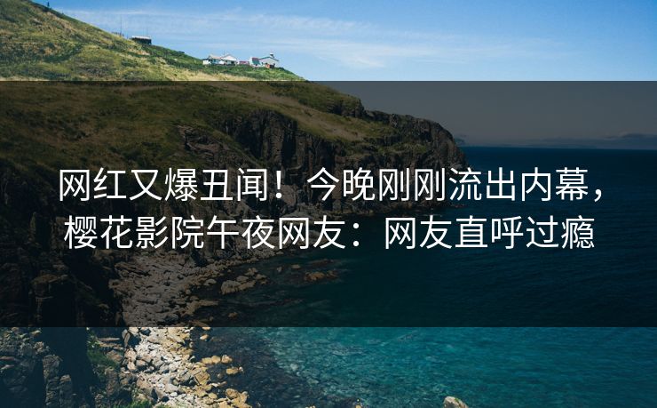 网红又爆丑闻！今晚刚刚流出内幕，樱花影院午夜网友：网友直呼过瘾