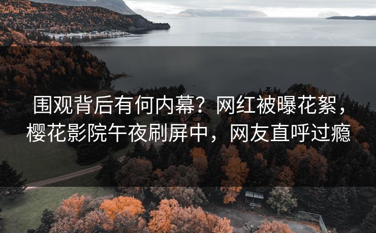 围观背后有何内幕？网红被曝花絮，樱花影院午夜刷屏中，网友直呼过瘾