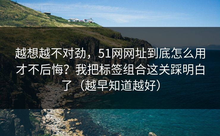 越想越不对劲,51网网址到底怎么用才不后悔?我把标签组合这关踩明白了(越早知道越好) 越想越不对劲,51网网址到底怎么用才不后悔?我把标签组合这关踩明白了(越早知道越好)